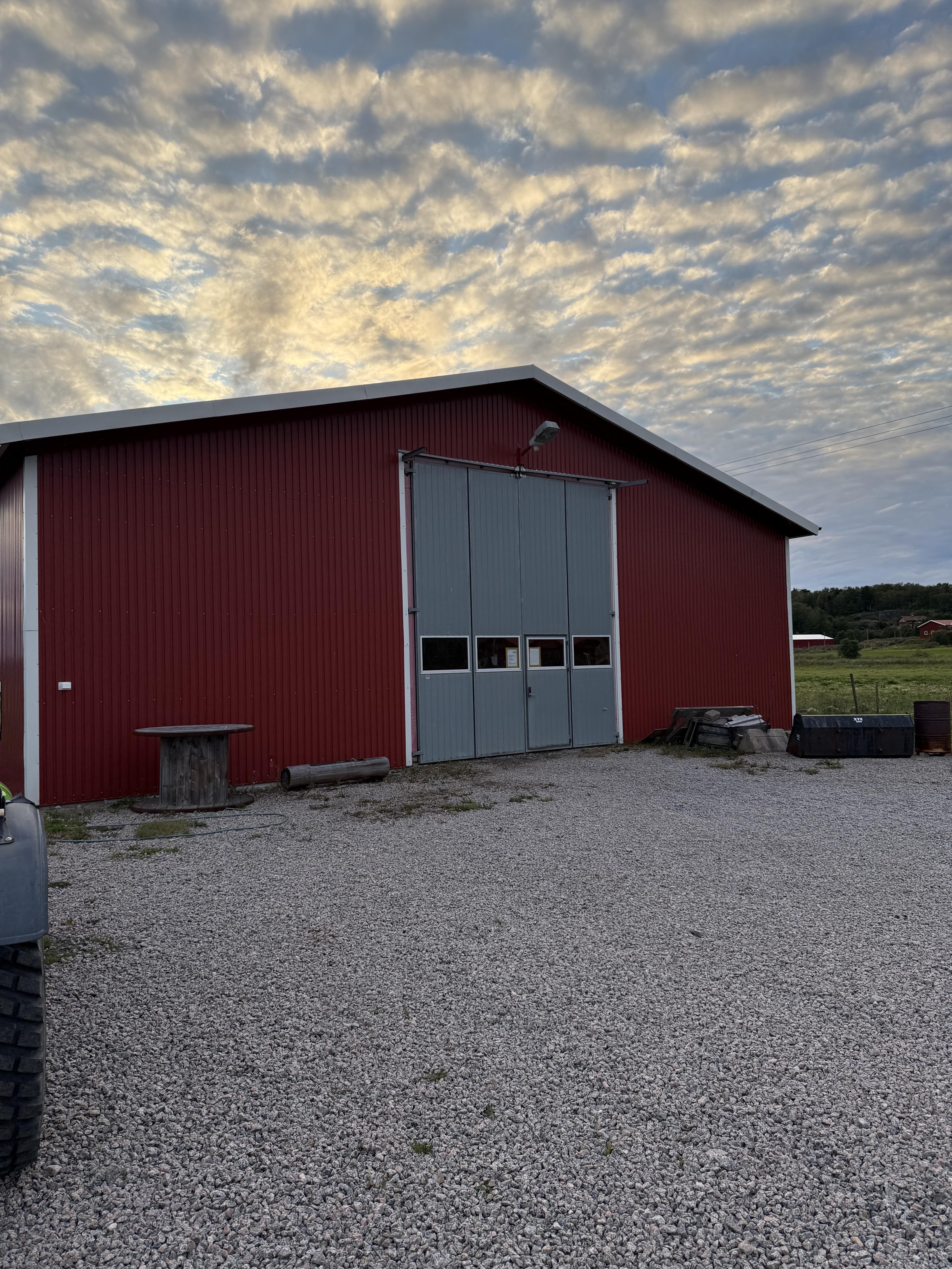 Fårfärs